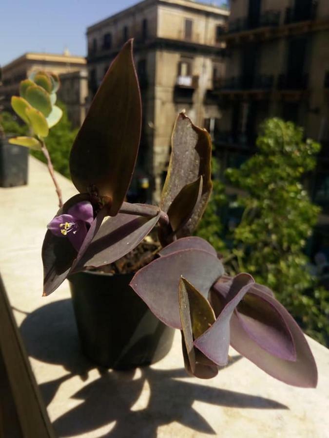 Palazzo Savona Otel Palermo Dış mekan fotoğraf
